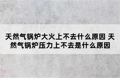 天然气锅炉大火上不去什么原因 天然气锅炉压力上不去是什么原因